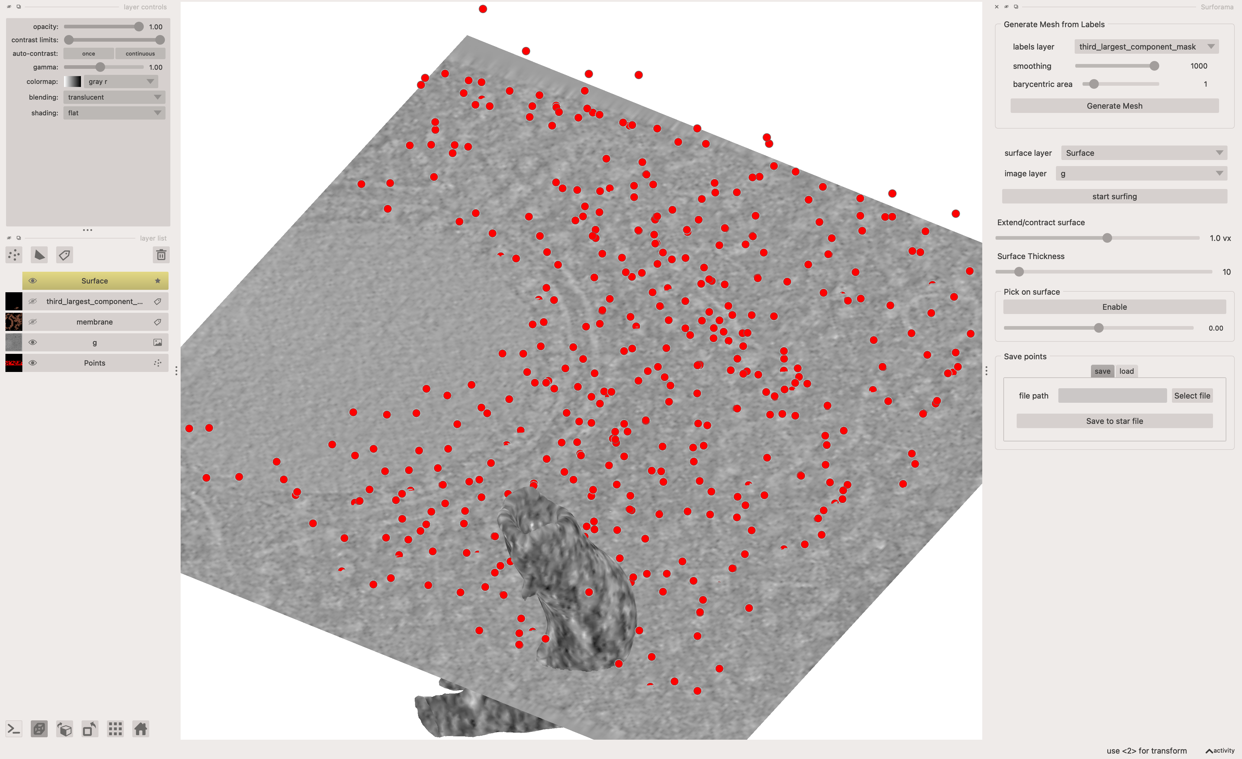 Screenshot of surforama with data from the CZ cryoet data portal. This shows the 3rd largest segmentatoin being rendered in surforama.